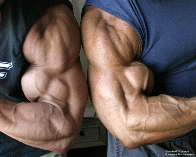bicep workouts for men