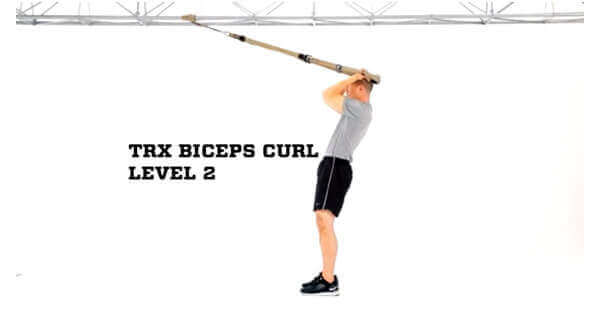 How to exercise biceps
