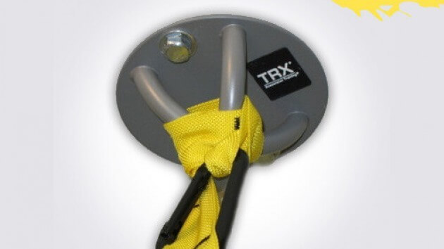 10 Effective Trx Exercises For Lower Back Pain Printable Pdf