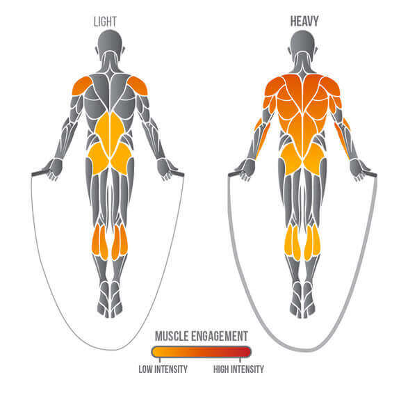 Skipping Rope Muscles used