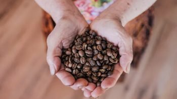 health benefits of coffee beans