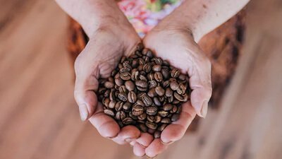 health benefits of coffee beans