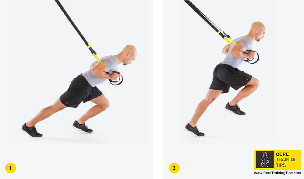 What muscles do the TRX sprinter start work?