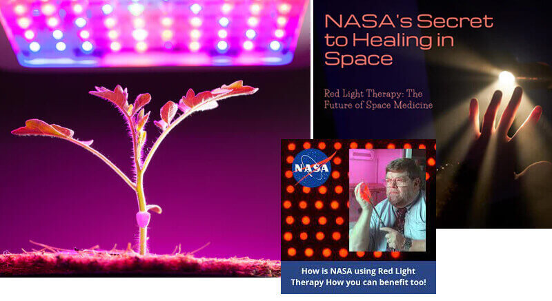 photobiomodulation therapy